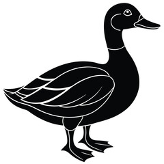 duck vector illustration silhouette 