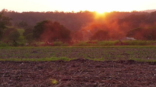 4K, farm ute truck in fields paddock at sunset, farming agriculture landscape, sugar cane, rural harvest lifestyle