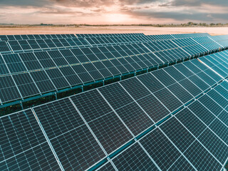 Field of solar panels generating sustainable energy under sun