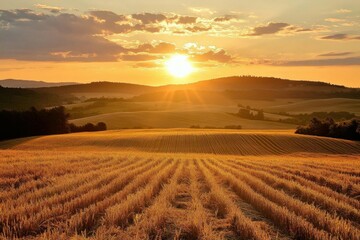 Obraz premium A picturesque sunset over golden fields and rolling hills.