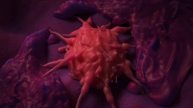 Cancer, also known as a malignant tumor or neoplasm, is characterized by the uncontrolled and abnormal growth of cells that can invade and spread to other parts of the body
