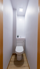 Modern Minimalist Home Bathroom with Compact Toilet and Wooden Flooring. Interior