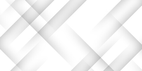 Fototapeta premium Elegant abstract background with grey lines with shadow. modern abstract gray line light dynamic shape composition background. Gray and white geometric background with copy space. , Modern design. 