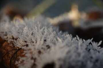 close up of frost