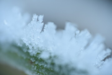 icicles on a snow