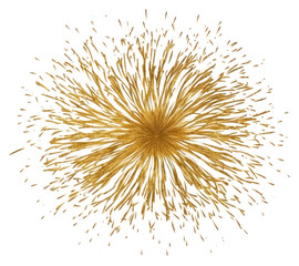 Obraz premium PNG Festival firework fireworks backgrounds celebration.