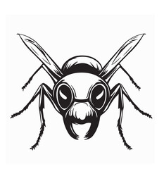 Ant Head Images illustration. Close up Ants Head Stock Illustration isolated on white background.