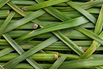 Obraz premium Woven green leaves create textured pattern, showcasing nature beauty and intricate design. This close up captures vibrant colors and details of leaves