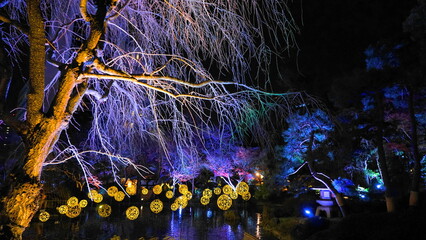 夜の日本庭園