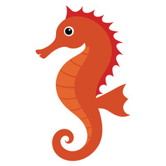 seahorse 