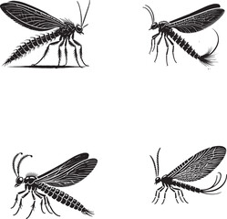 "Detailed Silhouette of a Mayfly Isolated on White Background in Monochrome"