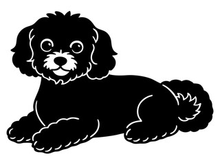 bichon frise Dog black silhouette vector, Simple silhouette Design vector icon with white background