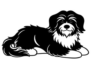 havanese Dog black silhouette vector, Simple silhouette Design vector icon with white background