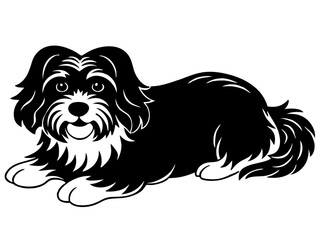 havanese Dog black silhouette vector, Simple silhouette Design vector icon with white background