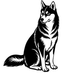 Siberian husky Dog black silhouette vector, Simple silhouette Design vector icon with white background © Arnob
