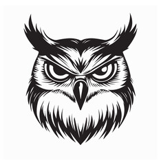 Obraz premium Owl Head Vector Image. Owls Head Black White Stock Illustrations