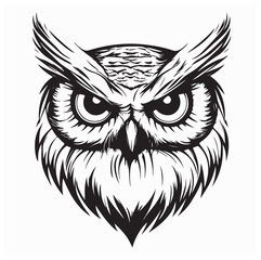 Obraz premium Owl Head Vector Image. Owls Head Black White Stock Illustrations