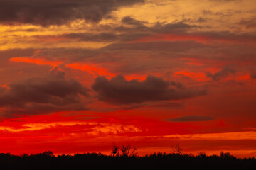 A breathtakingly stunning sunset casts a brilliant glow over a serene silhouette of trees