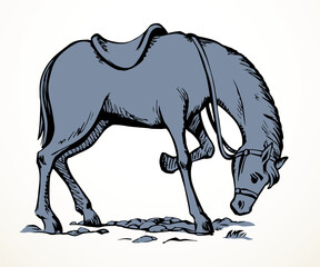 Vector drawing. A horse eating the grass