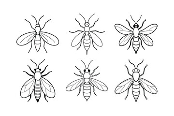 Fototapeta premium Sawfly (Tenthredinidae) insect design, labeled line art vector illustration.