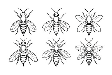 Gall Wasp (Cynipidae) insect design, labeled line art vector illustration.