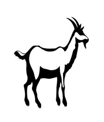 Big white goat. Vector animal