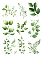 Luxury botanical gold wedding frame elements on white background. Set of polygon shapes, glitters, eucalyptus leaves, leaf branches. Elegant foliage design for wedding, card, invitation, greeting.