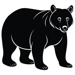 Cartoon bear vector illustration with wildlife and zoo theme