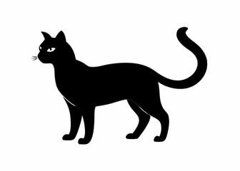 Cat silhouette vector black animal on white background