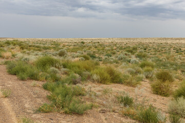 Vast landscape of Kazakhstan featuring sparse vegetation under a cloudy sky