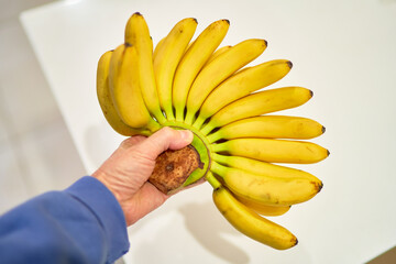 baby bananas are lying on the kitchen table