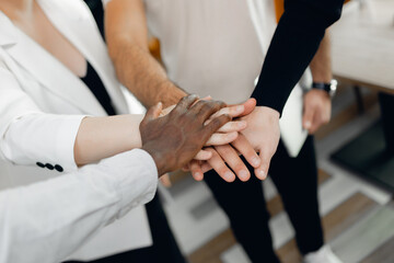 Diverse Teamwork Collaboration in Multiracial Office Environment