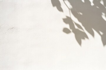 Soft Shadows of Leaves Cast on a Textured White Wall in Gentle Natural Light