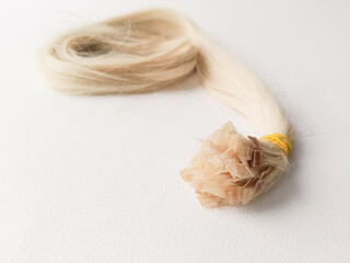 The tail of light, natural blonde hair for extensions on a white background.  Keratin capsules on strands of hair. A donor hair cut for a wig.