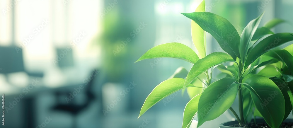 Poster vibrant green plant in a modern office setting with a soft-focus background creating a serene and fr