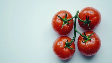 Fresh ripe tomatoes with water droplets on a clean white background highlighting natural freshness and vibrant colors for culinary use