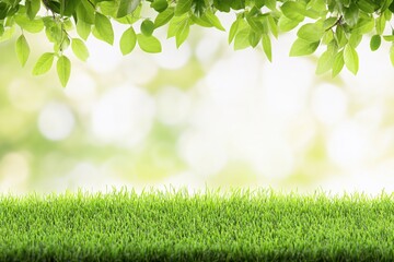 Lush Green Grass and Fresh Leaves on a Soft Focus Background of Nature's Beauty