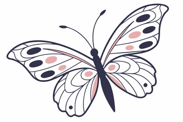 butterfly on white background