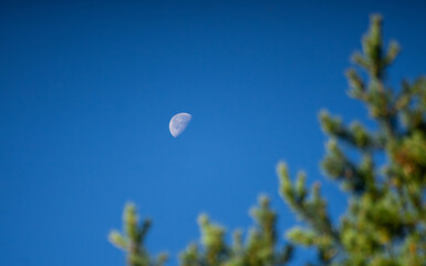The moon on the background of the blue sky during the day.Half of the moon is visible to the naked eye in the sky.