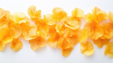 delicate yellow flower petals arranged on a clean white background creating a vibrant and fresh aesthetic
