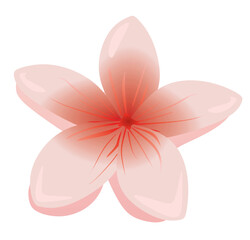 Red lotus flower. vector illustration