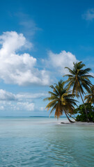 Obraz premium A beautiful view of tall palm trees against a bright blue sky with fluffy white clouds. The scene evokes a tropical paradise, perfect for relaxation and vacation vibes.