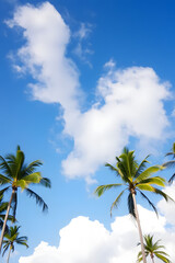 Obraz premium A beautiful view of tall palm trees against a bright blue sky with fluffy white clouds. The scene evokes a tropical paradise, perfect for relaxation and vacation vibes.