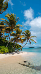 Fototapeta premium A beautiful view of tall palm trees against a bright blue sky with fluffy white clouds. The scene evokes a tropical paradise, perfect for relaxation and vacation vibes.