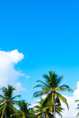 Obraz premium A beautiful view of tall palm trees against a bright blue sky with fluffy white clouds. The scene evokes a tropical paradise, perfect for relaxation and vacation vibes.