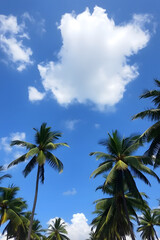 Obraz premium A beautiful view of tall palm trees against a bright blue sky with fluffy white clouds. The scene evokes a tropical paradise, perfect for relaxation and vacation vibes.