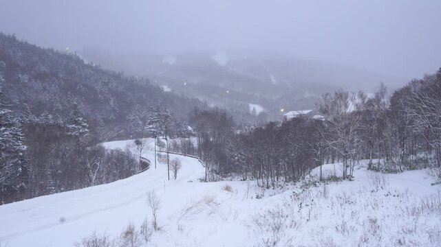 Winter snow cold mountain forest frozen at Sapporo Hokkaido Japan