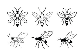 Ensign Wasp (Evaniidae) insect design, labeled line art vector illustration.