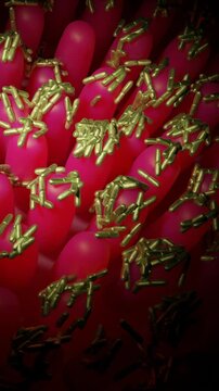 Intestinal bacteria, also known as gut microbiota or gut flora, are a vast and diverse community of microorganisms, primarily bacteria, that reside in the digestive tracts of animals, including humans