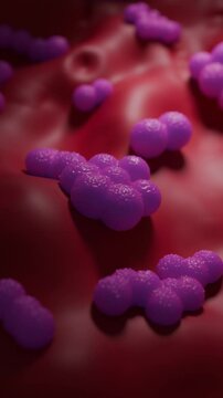 Methicillin-resistant Staphylococcus aureus (MRSA) bacteria